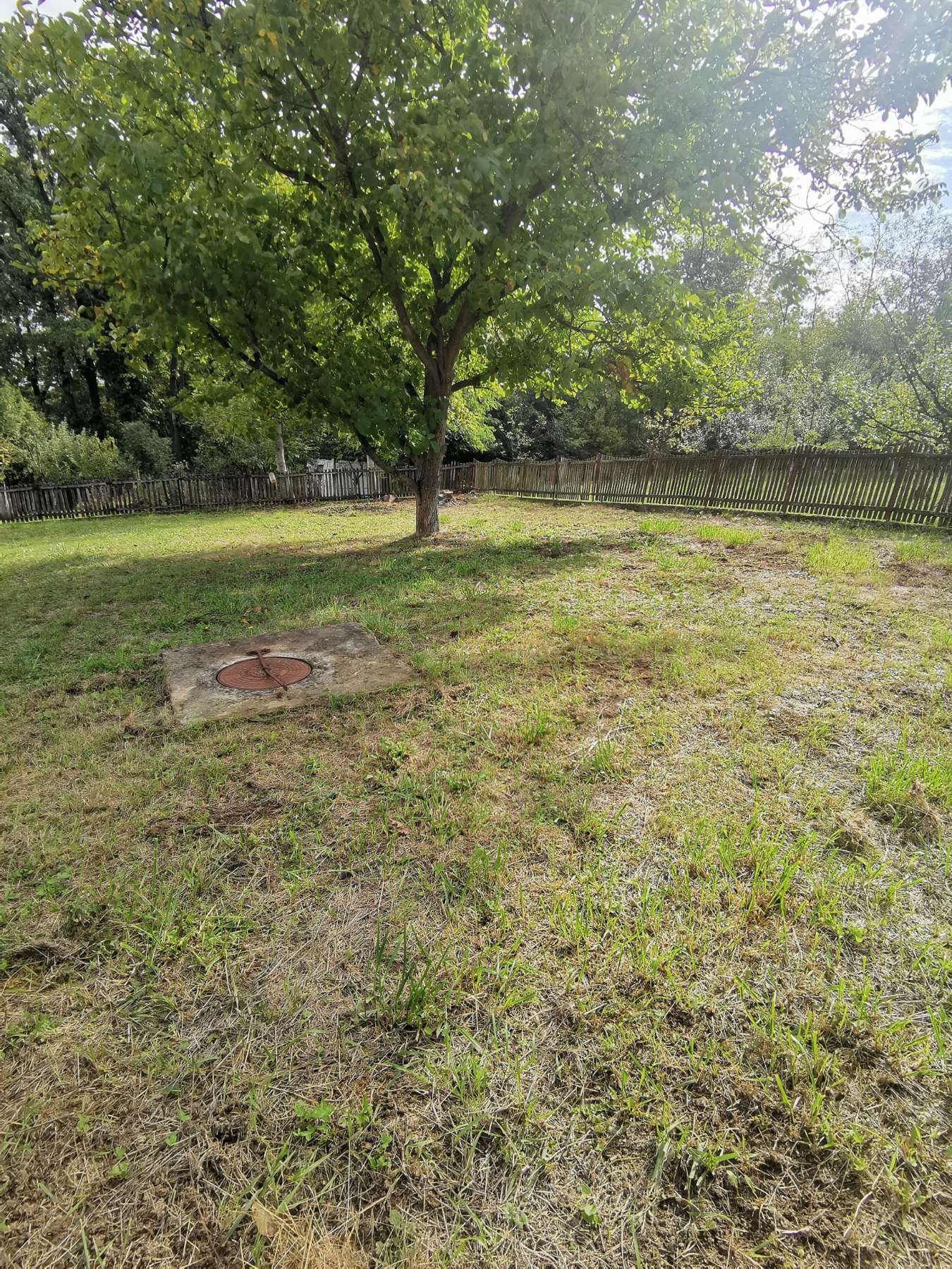 IMG-dd773ab2735fd06234c7b01b65c93050-V