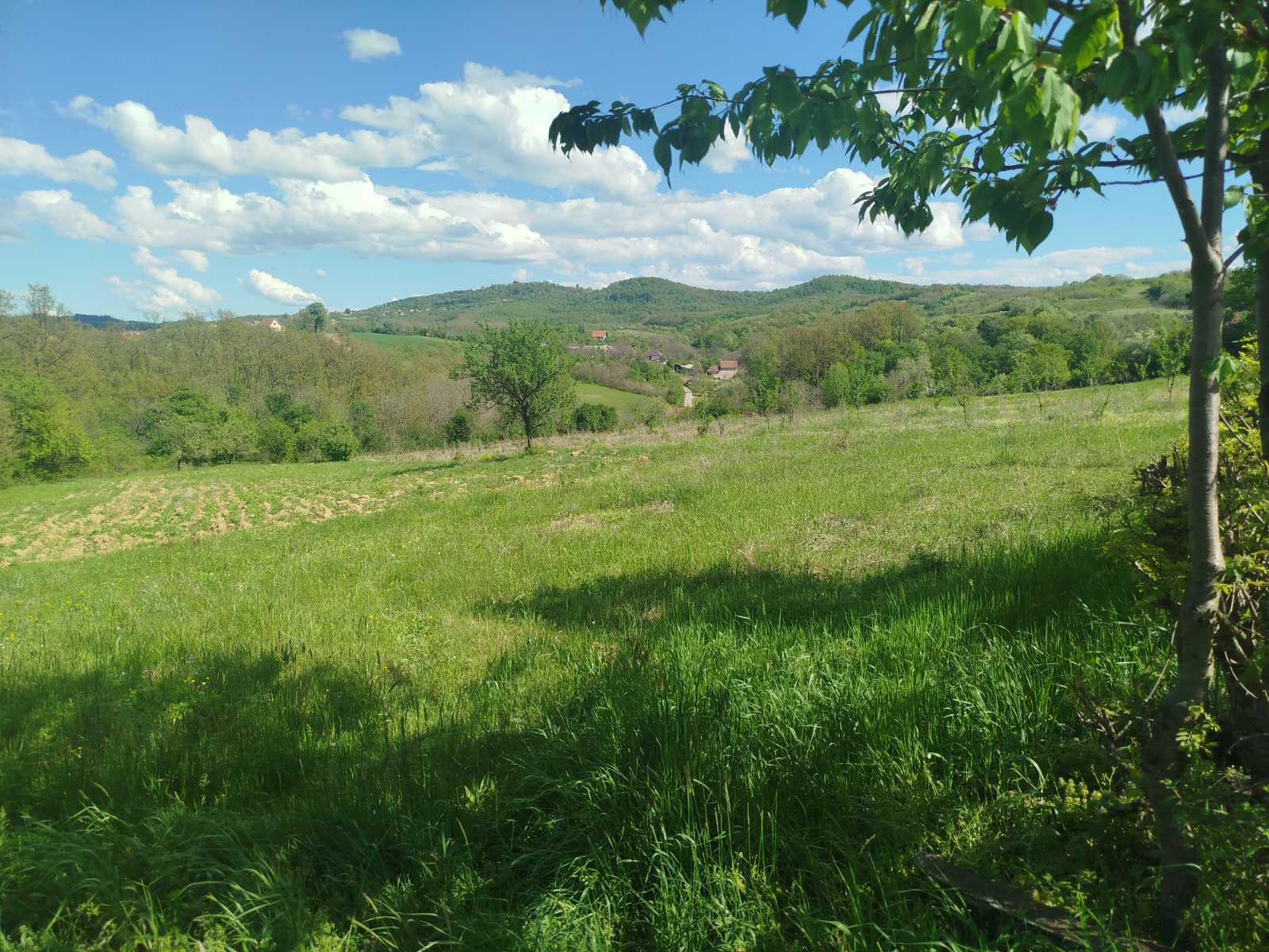 IMG-5824c8f47792dcbe2bc237afb93515dd-V